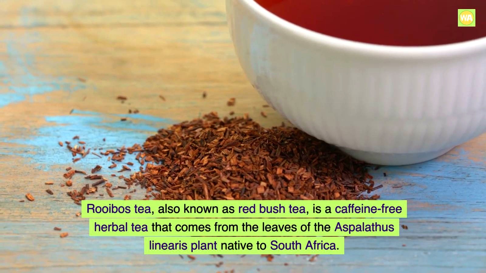 What Is Rooibos Tea? discussed in the video