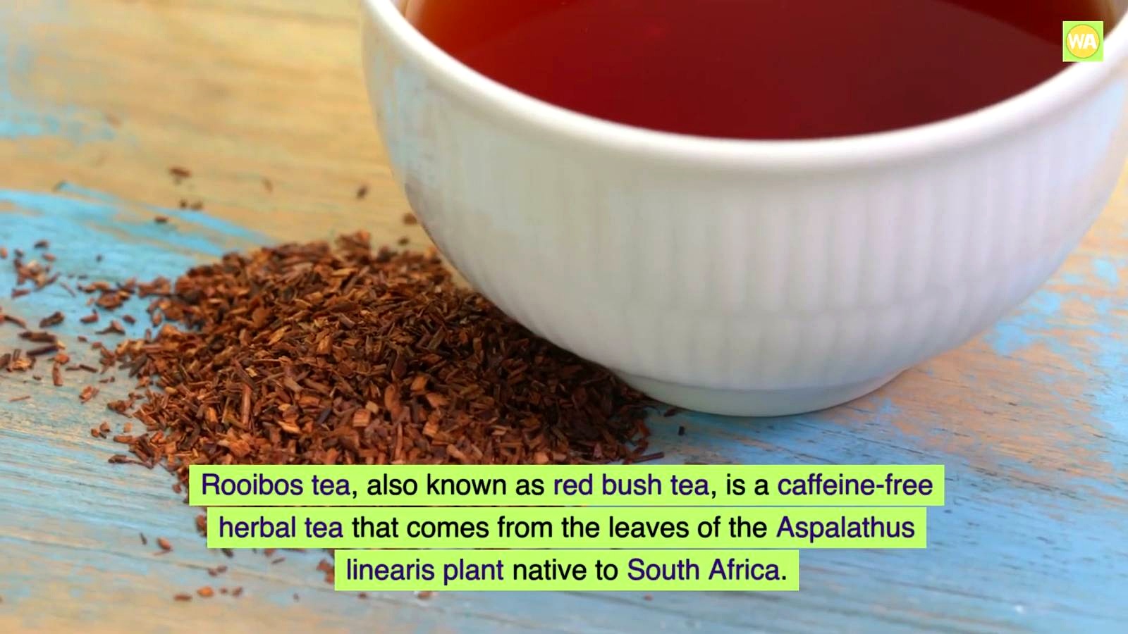 Potential Health Benefits of Drinking Rooibos Tea Daily